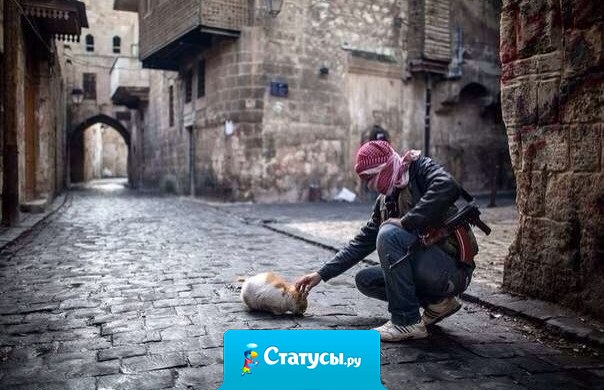 Когда-нибудь тебе внушат, что о твою доброту вытирают ноги. Не верь. Оставайся добрым. Ведь добро — это просто, и оно спасает мир.