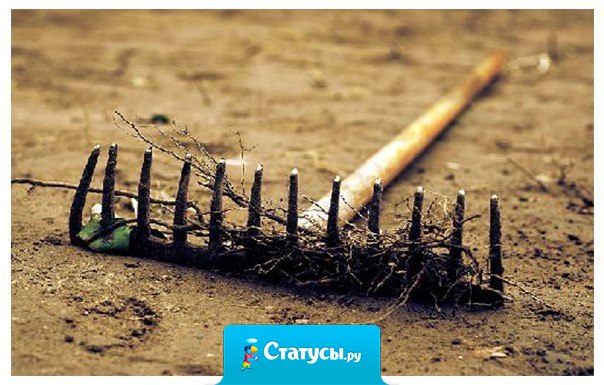 Самое полезное в жизни — это собственный опыт. 