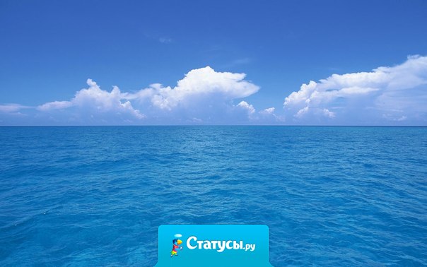 Если что-то само плывет к вам в руки, присмотритесь — возможно, оно просто не тонет...