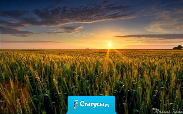 Для того чтобы быть абсолютно уверенным в чем-либо, нужно знать об этом либо все, либо ничего.