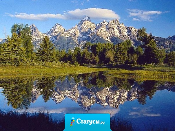 Жизнь – это то, что люди больше всего стремятся сохранить и меньше всего берегут.