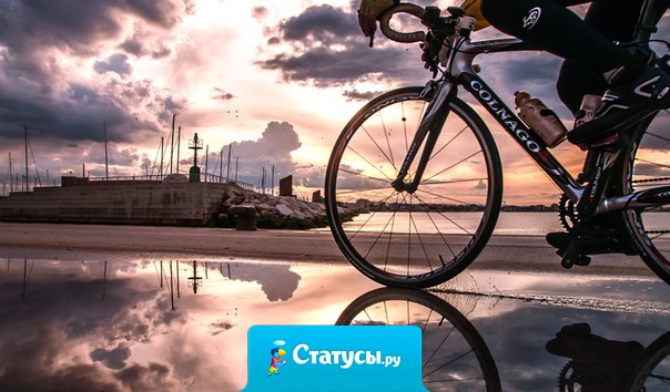 Жизнь - как вождение велосипеда. Чтобы сохранить равновесие, ты должен двигаться.