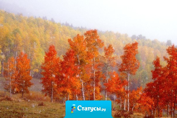 Ничего не происходит напрасно, все является подготовкой к следующей сцене.