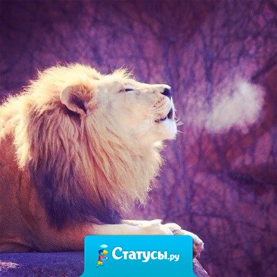 Момент терпения в минуту гнева, предотвращает тысячи моментов сожаления.