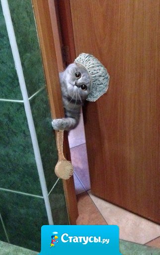 Ну что тебе? Я моюсь.