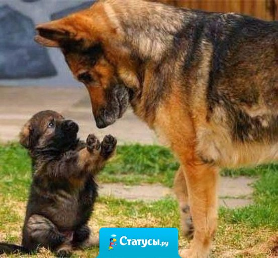 Сейчас я тебе все объясню!