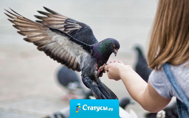 Нет в мире прекраснее чувства, чем ощущение, что ты сделал людям хоть каплю добра.