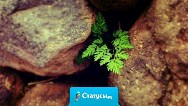 Опыт научил меня, что если люди делают что-то против тебя, в конечном счете это пойдет тебе на пользу.