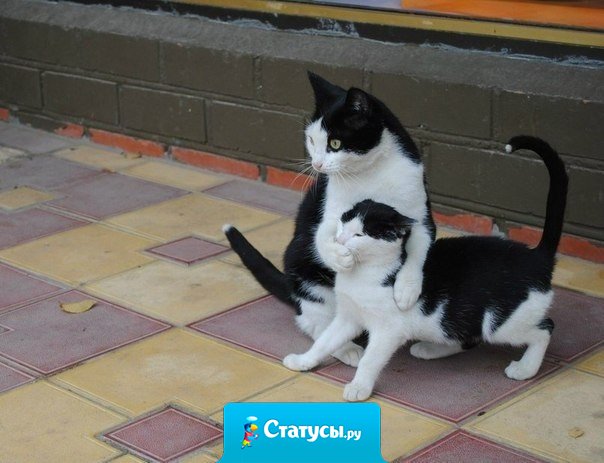 Научитесь никому, ничего не рассказывать. Вот тогда все будет хорошо.