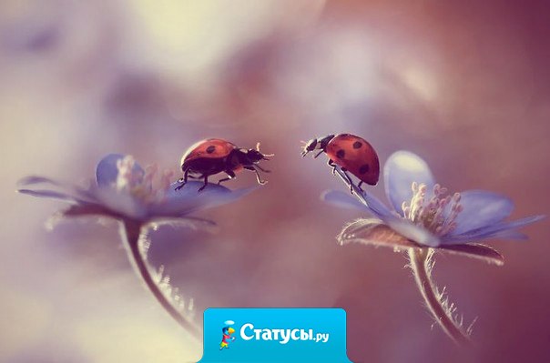 Помните: вы притягиваете к себе то, во что вы верите.