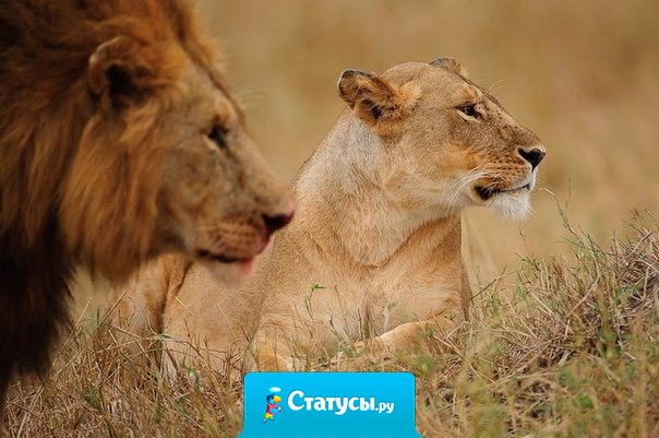 Умейте говорить «спасибо» тому, что осталось за спиной. Оно непременно научило нас чему-то важному.