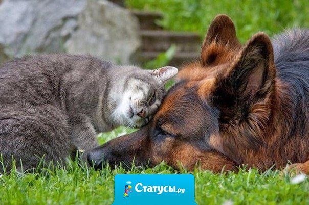 Обидеть может каждый... А вот извиниться, да еще и так, чтобы забылась причина обид, могут только единицы...