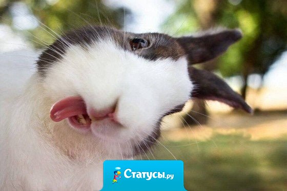 Счастье — всего лишь умение не портить себе настроение и не давать это делать другим.