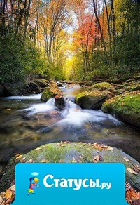 Оптимизм — это прежде всего аромат жизни!