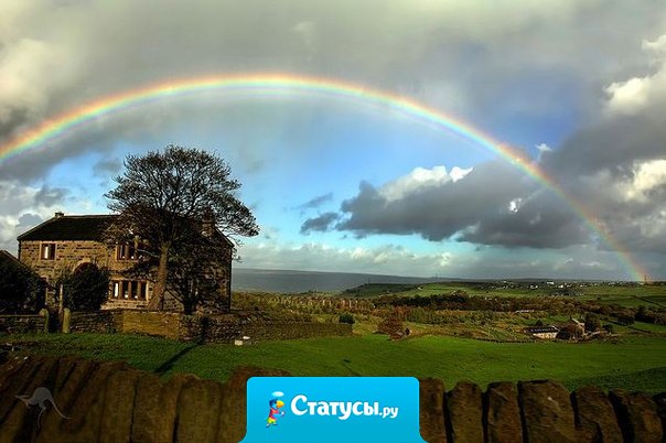 Пока жив, ты можешь что-нибудь сделать!