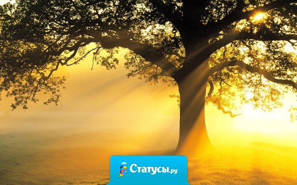 Счастье можно обрести везде. Вопрос не в масштабе, росте или месте. Всё дело в том, как к этому относиться.