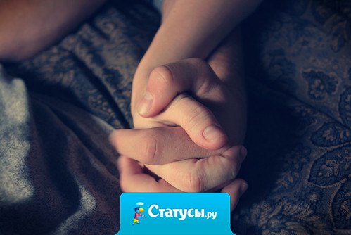 Трудно найти человека, с которым у вас в голове тараканы одного вида.