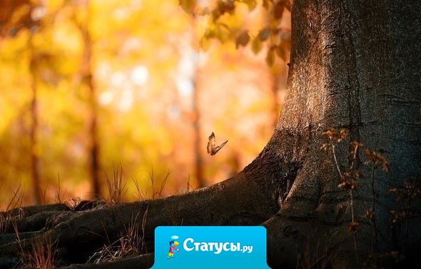 Говорят, любовь на расстоянии невозможна. Солнце тоже далеко... но все же, греет!