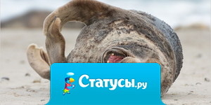 С хорошими друзьями можно... Ржать... Даже от... Чая...!!! )))