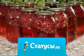 Сейчас грибов насолим, салатов накрутим, компотов наварим, картошки накопаем, капусты наквасим, самогонки нагоним. И пусть доллар хоть 200! пофигу, переживем!