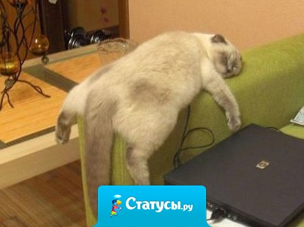 Работать вообще не прет...