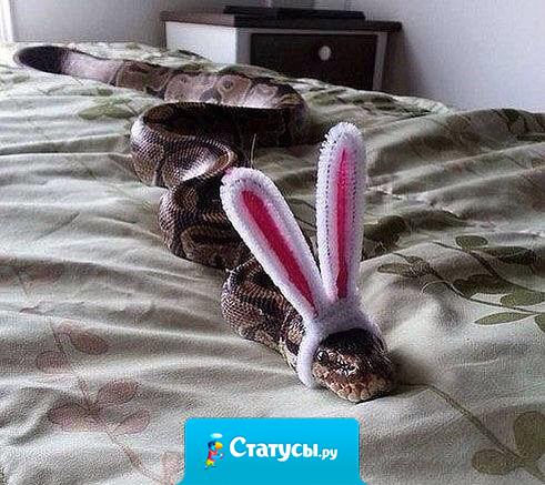 Из последних сил стараюсь быть заинькой-паинькой, но характер, с*ка, выдаёт!