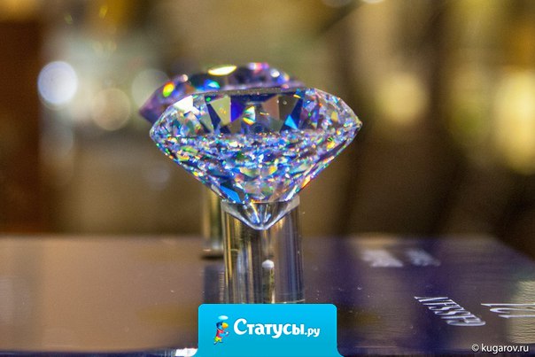 Каждой женщине нравится, что ей дарят цветы до тех пор, пока она не узнает, что другим дарят бриллианты.