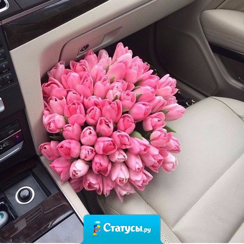 Вот как муж после работы должен встречать!