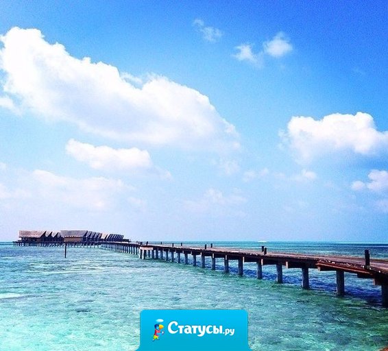 На Земле есть три места, где тепло: родительский дом, объятия любимого... и Мальдивы!