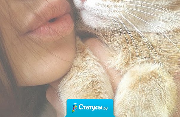 Ты спишь так крепко, потому что знаешь, что тебя любят.