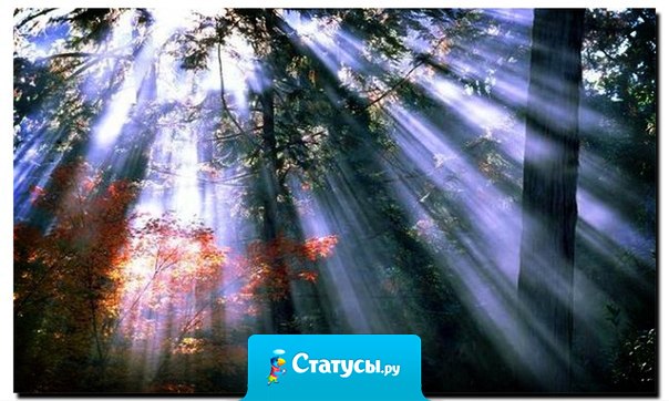 Если мы хотим наслаждаться жизнью, то сейчас самое время, не завтра и не в следующем году..