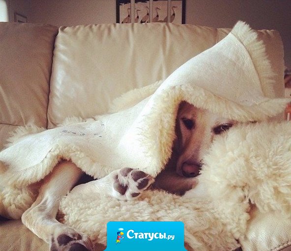 Хочу спрятаться от осени в одеялке!