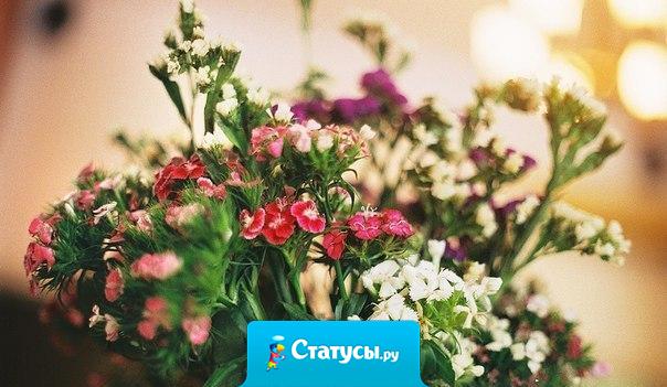 Сердца, как цветы, — их нельзя открыть силой, они должны раскрыться сами.