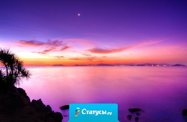 Один, глядя в лужу, видит в ней грязь, а другой – отражающиеся в ней звезды.