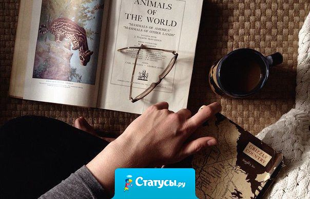 Дисциплина — это решение делать то, чего очень не хочется делать, чтобы достичь того, чего очень хочется достичь.