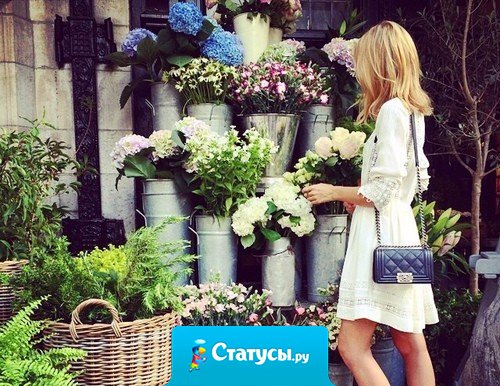 Есть такой предел боли, когда теряешь всякую гордость.