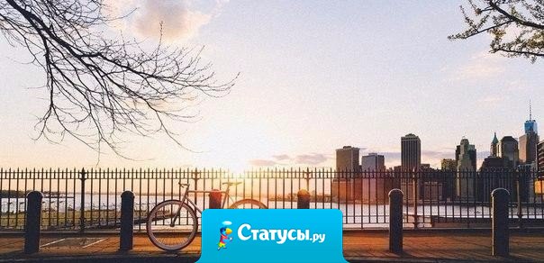 Самое сказочное, самое чудесное из всех доступных человеку переживаний — предвкушение чуда.