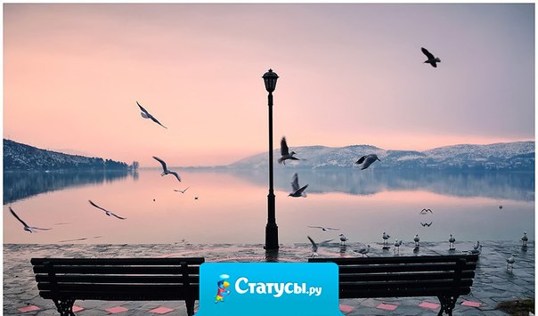 Хорошо лишь то беспокойство, благодаря которому мы впоследствии обретаем покой.