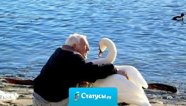 Красота может быть и спасет мир. Но кто сказал, что речь идет о внешности?