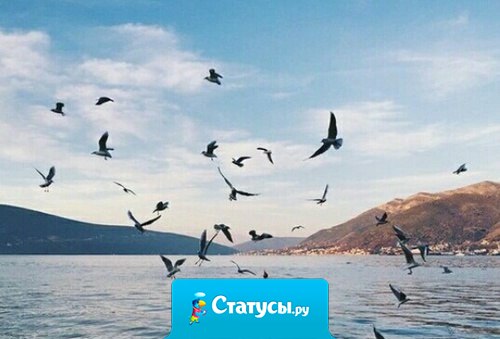 И вера, и опыт говорят мне об одном и том же: поддерживать свое существование на земле — это не тягостный труд, а развлечение, если мы живем просто и мудро.