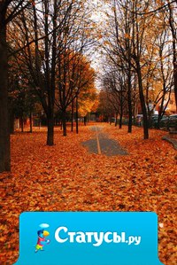 Вы замечали, что у каждого месяца в году есть свой запах? Для меня лучше всего пахнут октябрь и май.