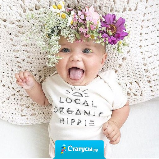 Я сегодня не то, что трудиться, я фигней заниматься не в силах! 