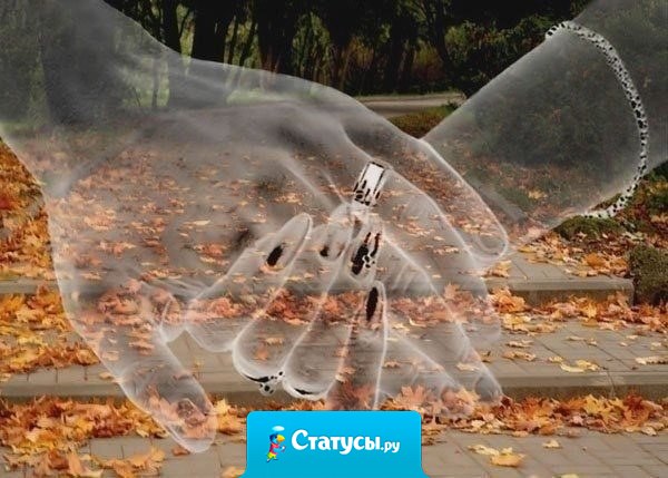 Люблю осень, за то, что она подарила мне любимого человека.