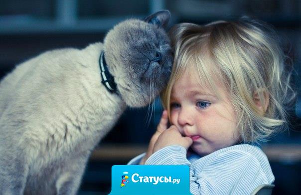 Поддержка нужна каждому!