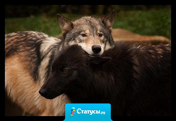 Я говорю спасибо небесам… За то, что я дышу, и следую своим мечтам… За этот мир, в котором я живу… За тех людей, которых я люблю…