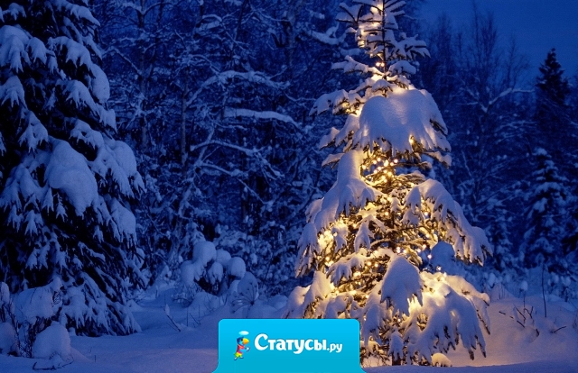 Новогодний тост: 