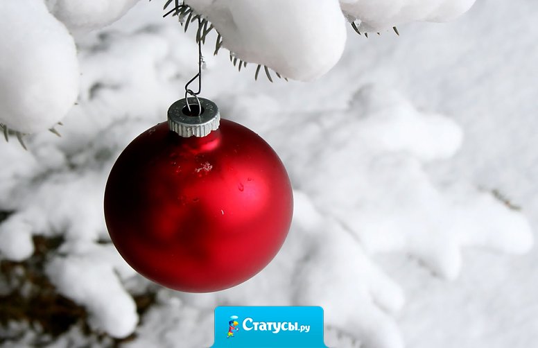 Самое неприятное открытие после Нового года: прошлогодняя хрень никуда не делась! 