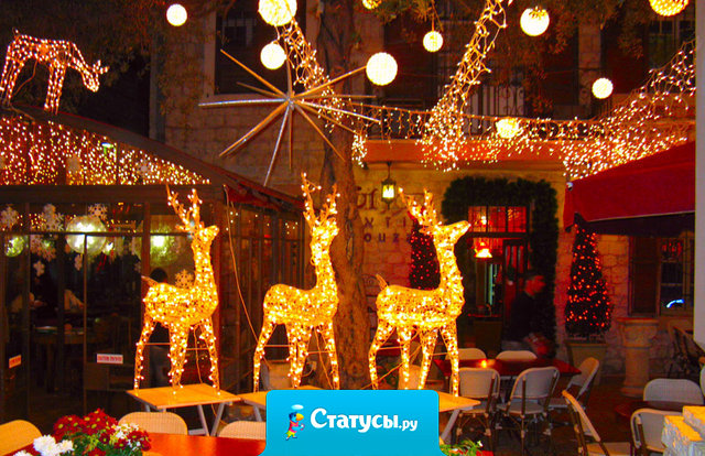 Пусть Новый год будет годом... дружбы. Чтоб голова дружила с сердцем, желания - с возможностями, финансы - с потребностями, логика - с эмоциями. 