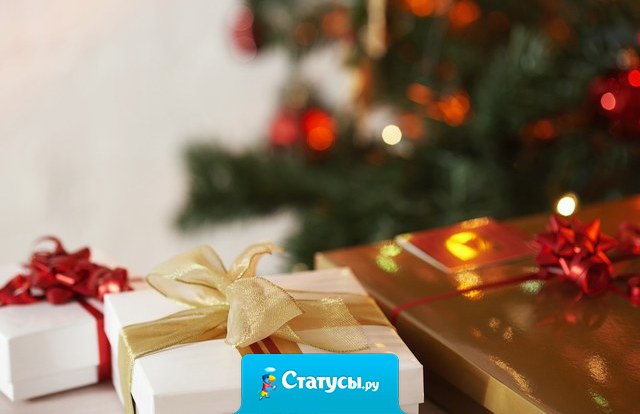 На Новый год наряжусь Дедом Морозом и возьму с собой три Снегурочки. Потому, что одна меня потом до дома не дотащит! 