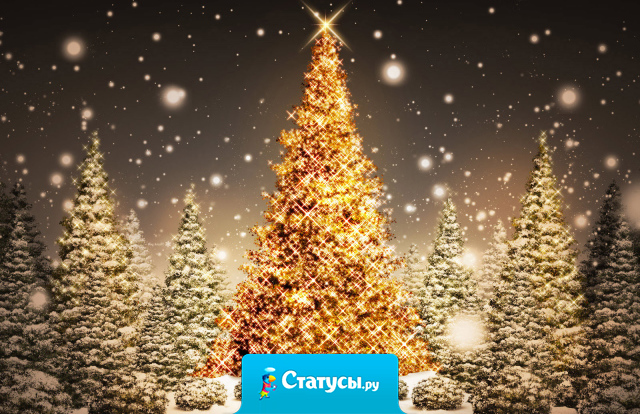 Не забудьте 31 декабря в 23:55 выйти из интернета и встретить Новый Год. 